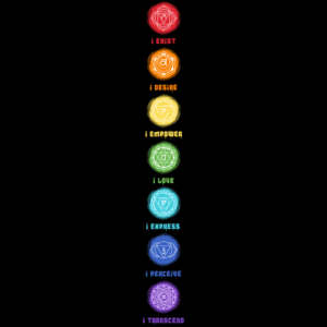 Seven Chakras Unisex Oversized Classic T-Shirt